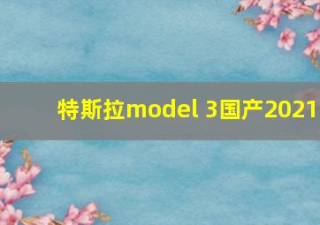 特斯拉model 3国产2021